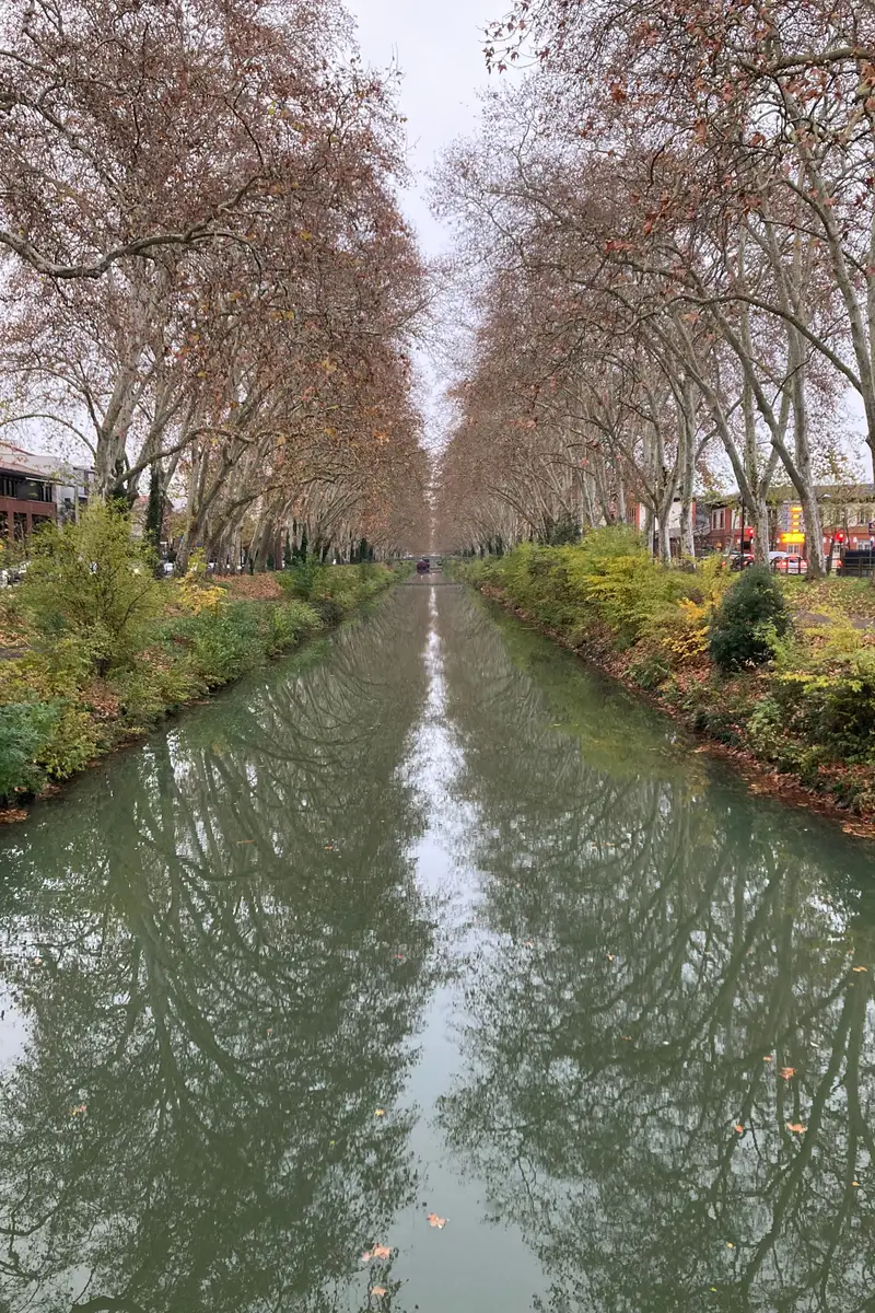 La photo d'origine : un canal entre les arbres
