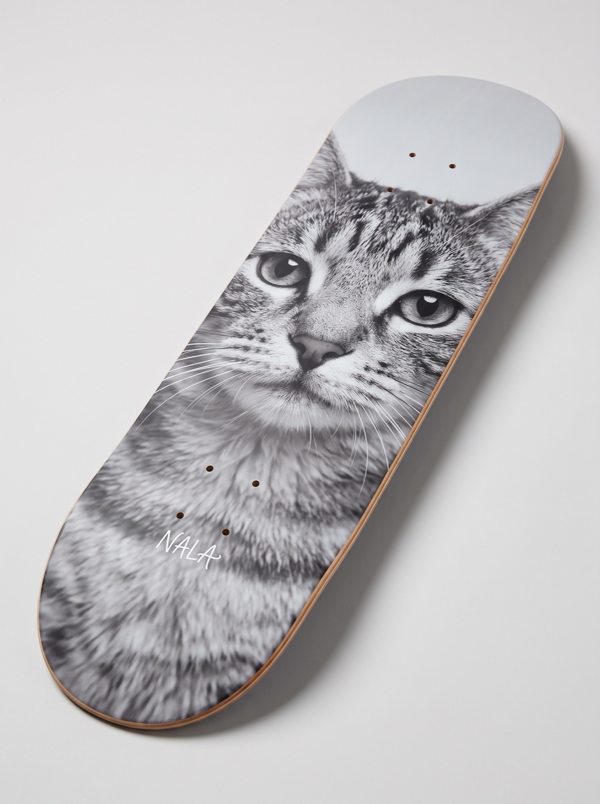 Planche avec la tête d'un chat et son nom